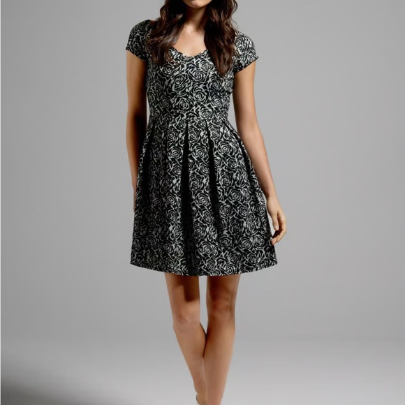 Never Let You Go Fit and Flare Dress - Picture 4 of 4